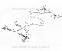 CLIGNOTANTS