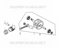 VILEBREQUIN / PISTON