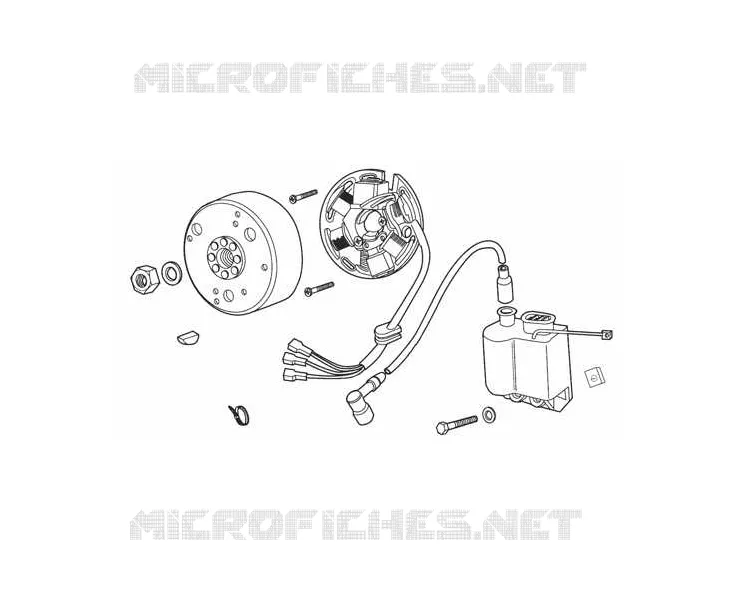 ROTOR / VOLANT MAGNETIQUE