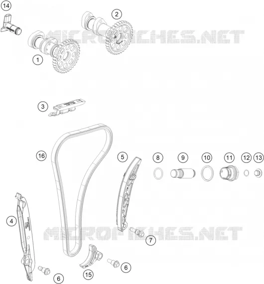 DISTRIBUTION