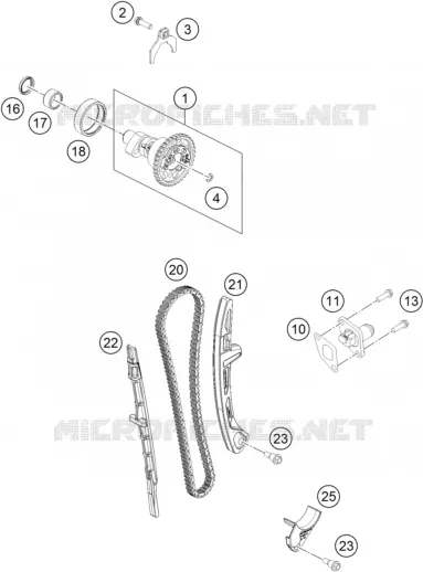 DISTRIBUTION