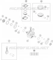 VILEBREQUIN / PISTON