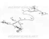 CLIGNOTANTS