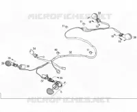 CLIGNOTANTS