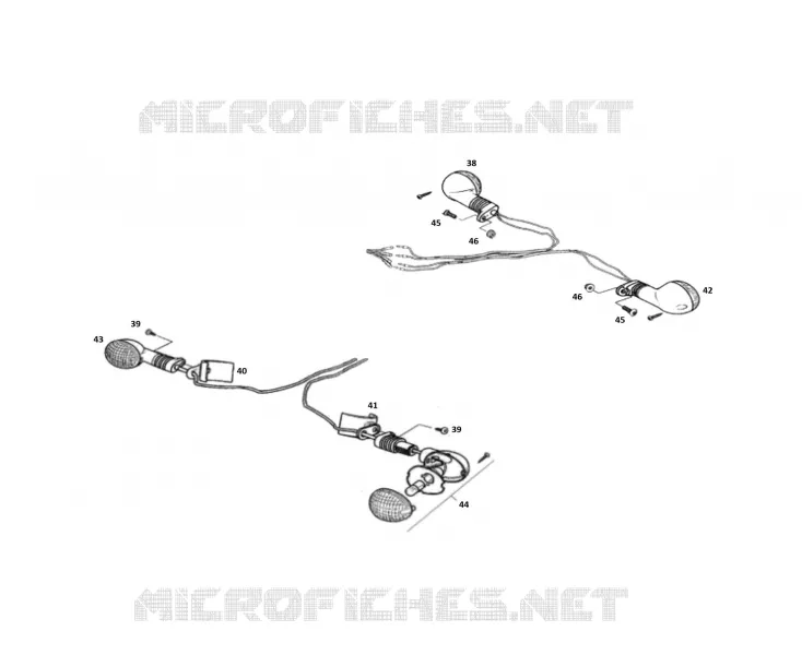 CLIGNOTANTS
