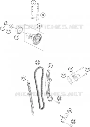 DISTRIBUTION