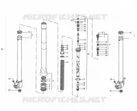 FOURCHE MARZOCCHI 50MM