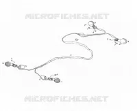 FAISCEAU CLIGNOTANTS