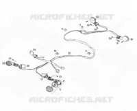 CLIGNOTANTS