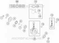 VILEBREQUIN / PISTON