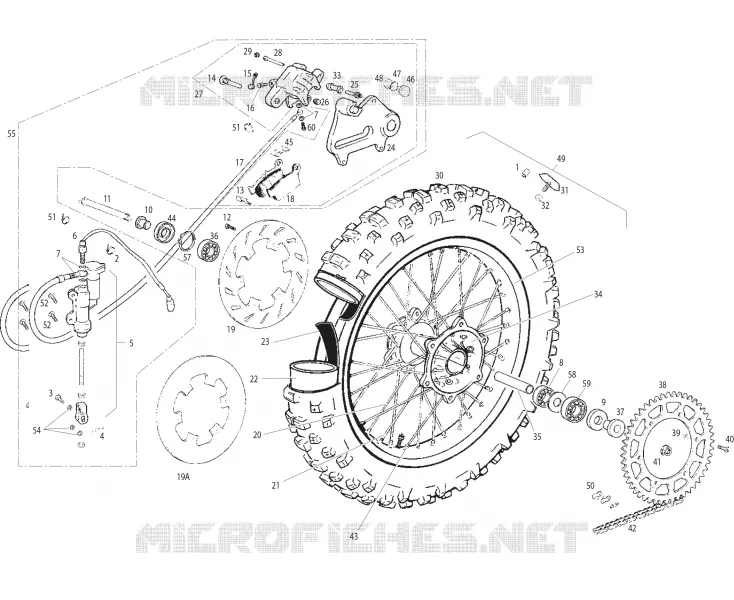 ROUE / FREIN ARRIERE