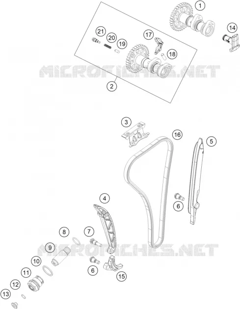 DISTRIBUTION
