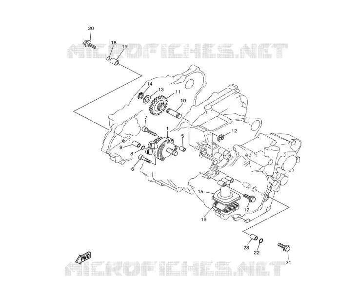 POMPE A HUILE 250/300