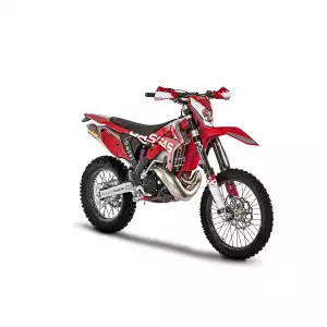EC RACING 300